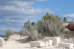 1-p1060632