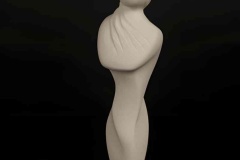 29VenusLens